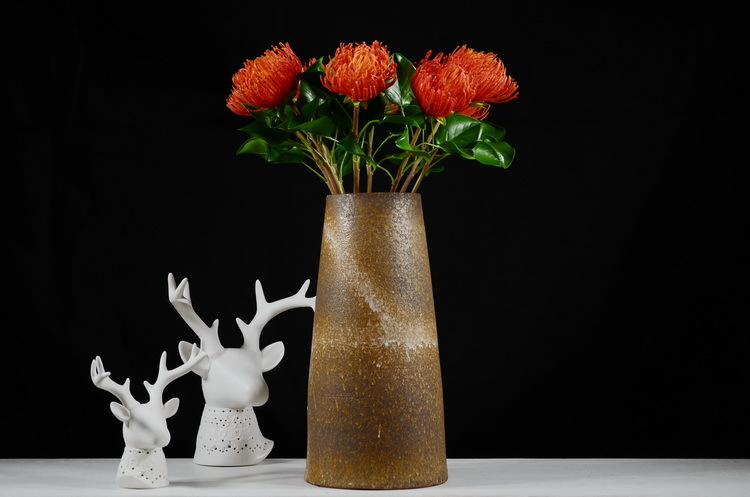 Lanjin Factory wholesales high-end artificial flowers, including South African emperor flowers, needle cushion flowers, floral arrangements, main flowers, large-scale floral accessories, and plastic flowers detail image 11