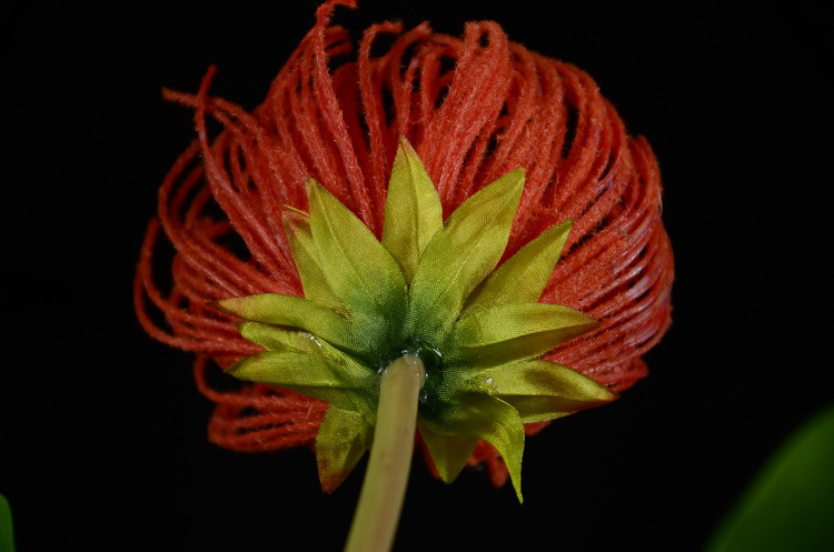 Lanjin Factory wholesales high-end artificial flowers, including South African emperor flowers, needle cushion flowers, floral arrangements, main flowers, large-scale floral accessories, and plastic flowers detail image 17