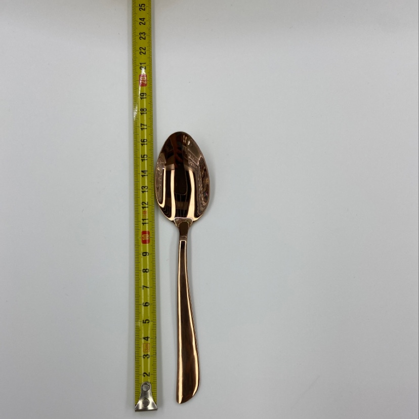 不锈钢201斜尾镀钛金黑色彩金玫瑰金刀叉勺白底实物图