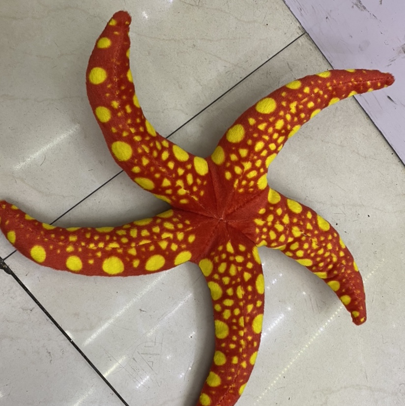 Starfish