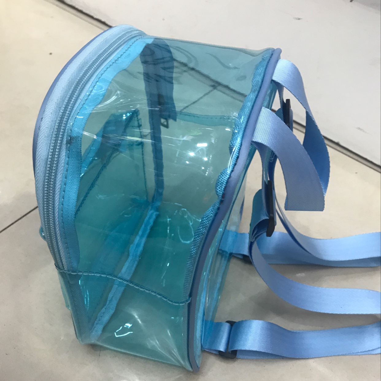 Colored transparent PVC backpack and backpack details Picture