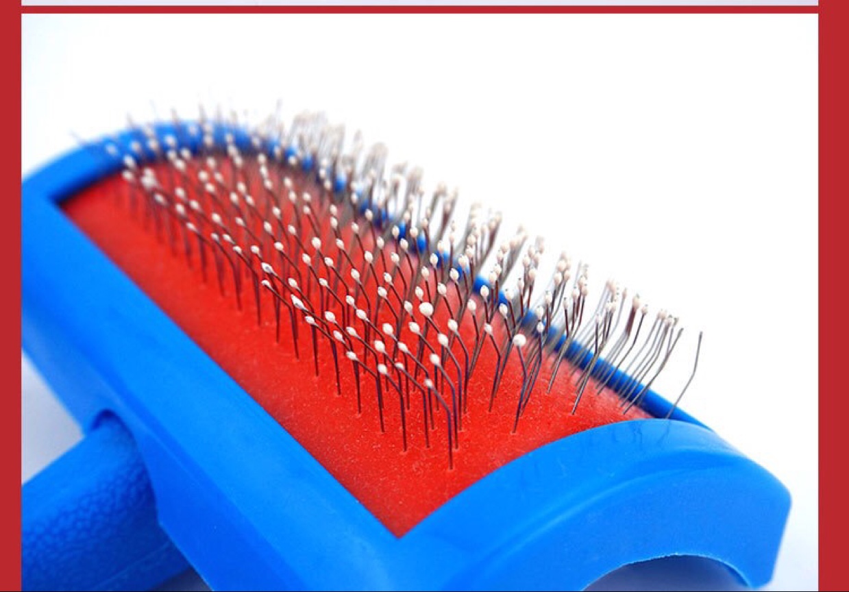 Fengpei manufacturers supply T fur brush pet with steel needle comb fur brush trumpet undefined
