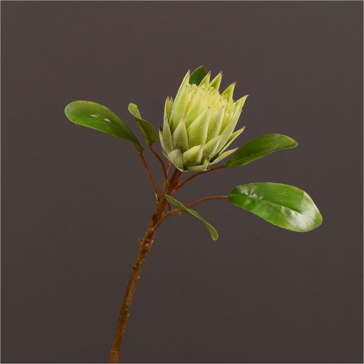 北欧现代简约客厅家居装饰仿真假花批发餐桌花仿真热带花帝王花