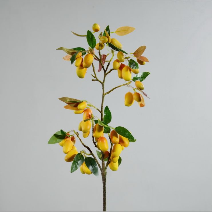 仿真植物实物图