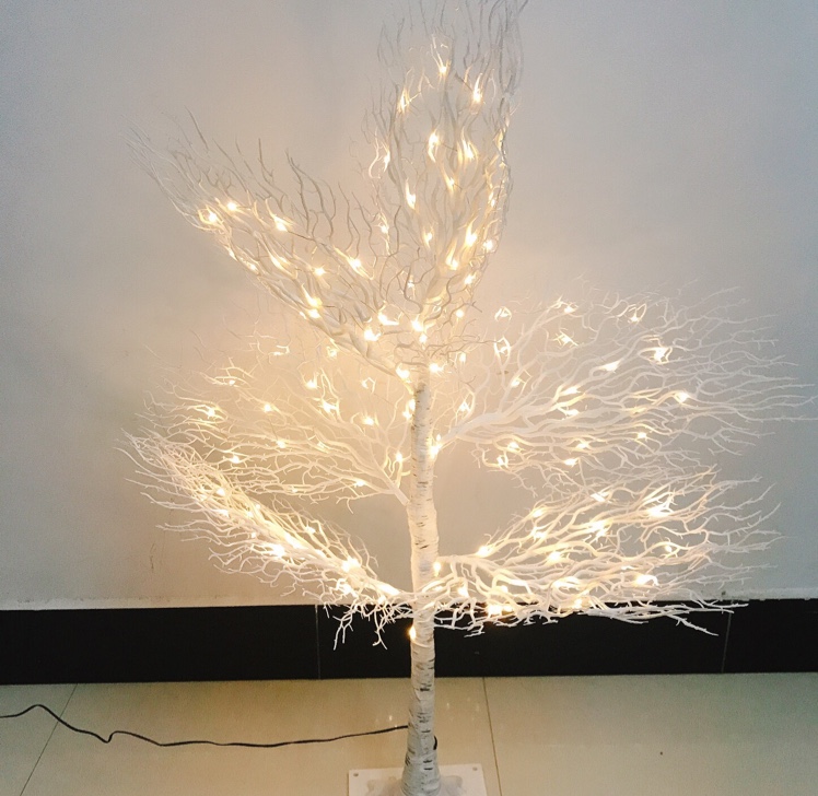 The peacock spreads its tail details Picture