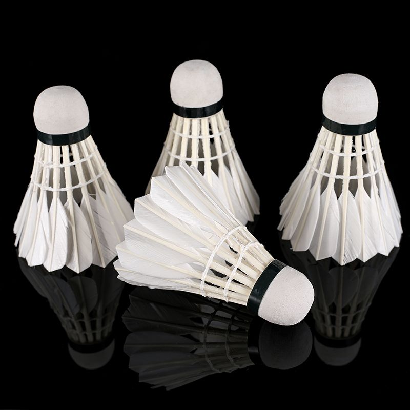 Yanyu 10 Quality Badminton 12 Equipped Indoor And Outdoor Training Balls details Picture