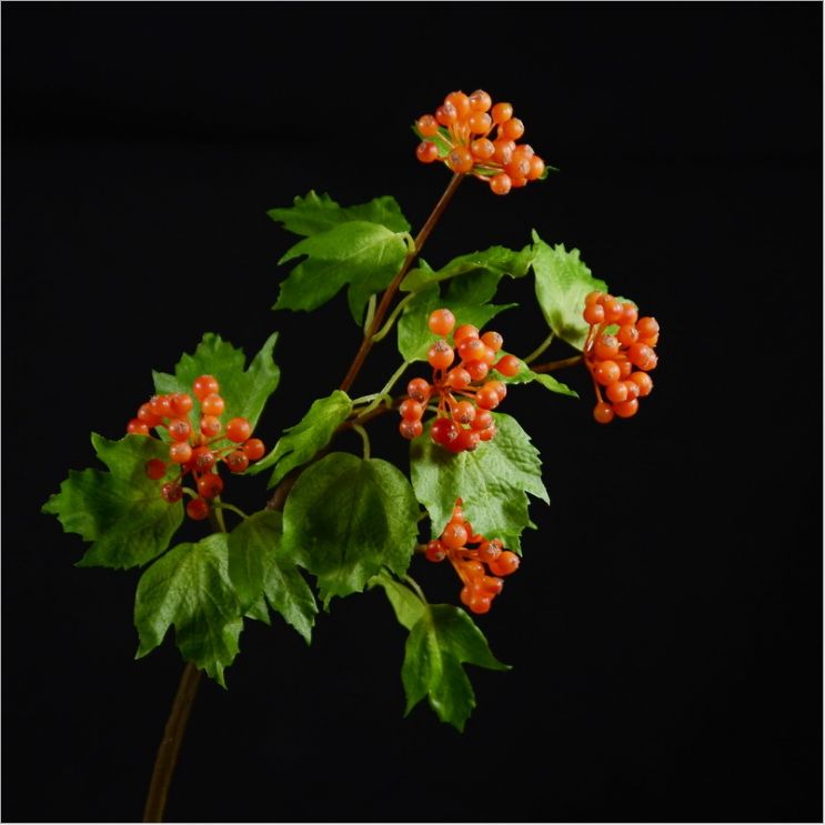 Factory direct sales of Lanjin American-style garden artificial green plants wholesale artificial fruits, artificial snow fruits and red berries Specification image