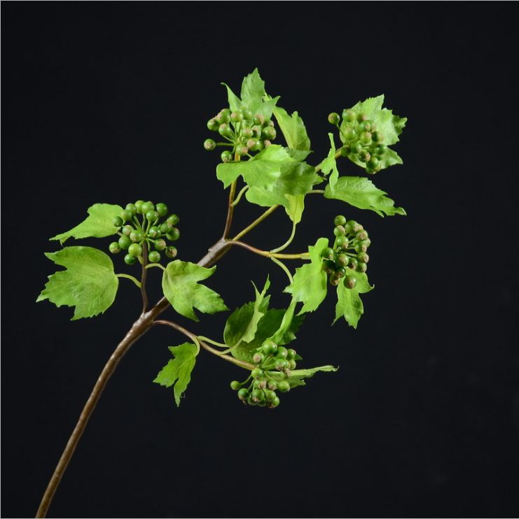 Factory direct sales of Lanjin American-style garden artificial green plants wholesale artificial fruits, artificial snow fruits and red berries Application Scenario