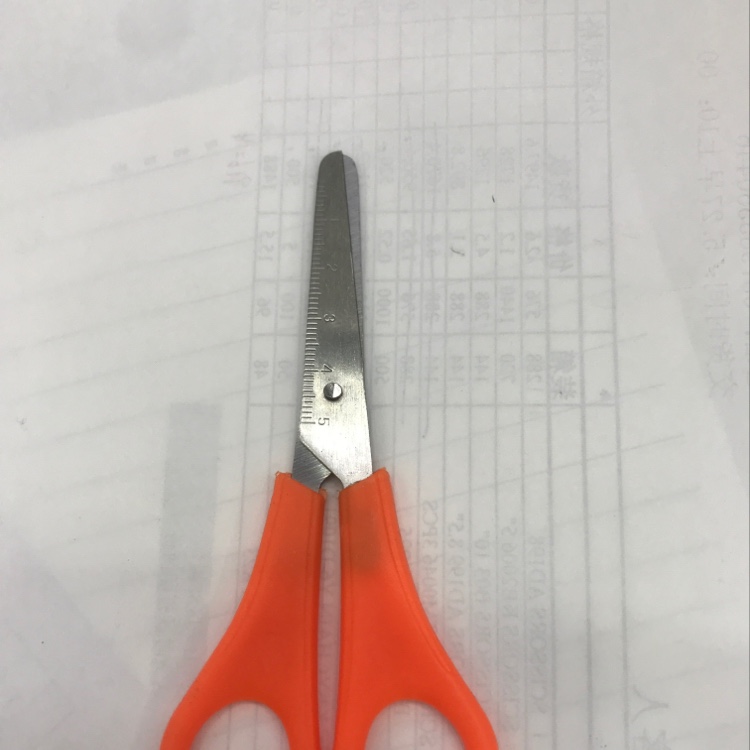 Scale scissors full figure