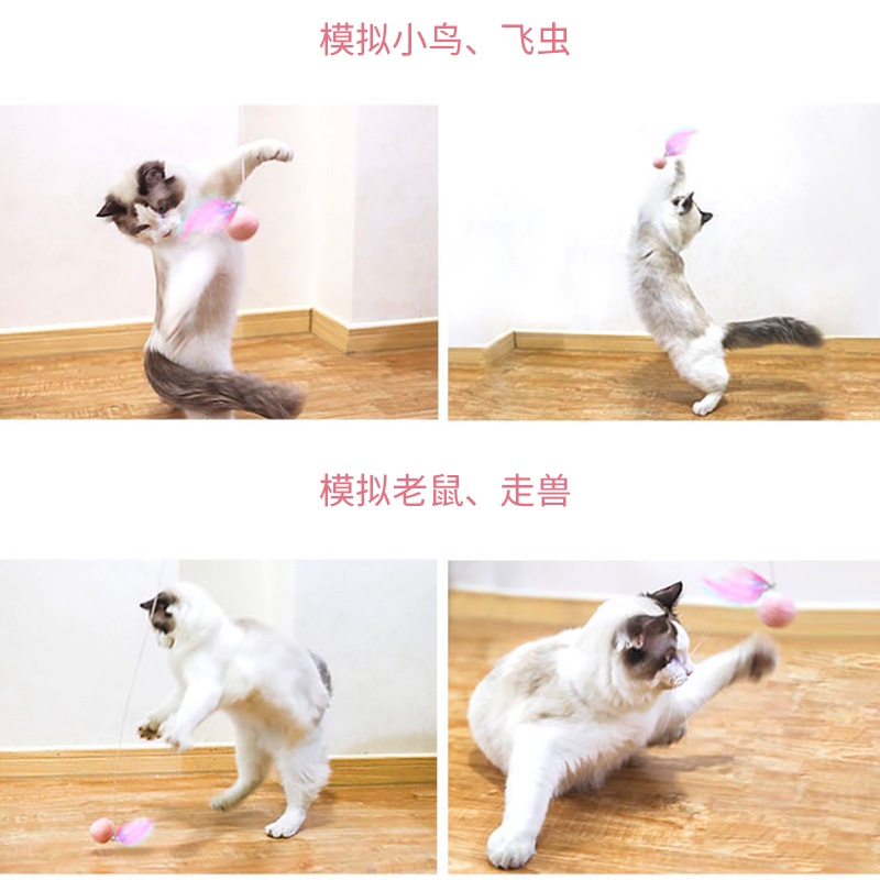 Gravity Cat Teasing Stick details Picture