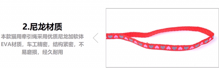猫猫牵引实物图