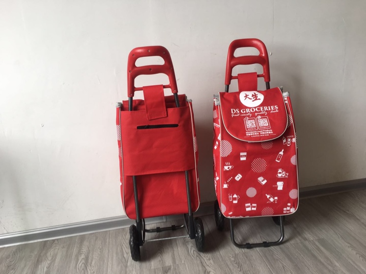 Oxford cloth-printed logo, bullock handle shopping cart, Chinese trend
