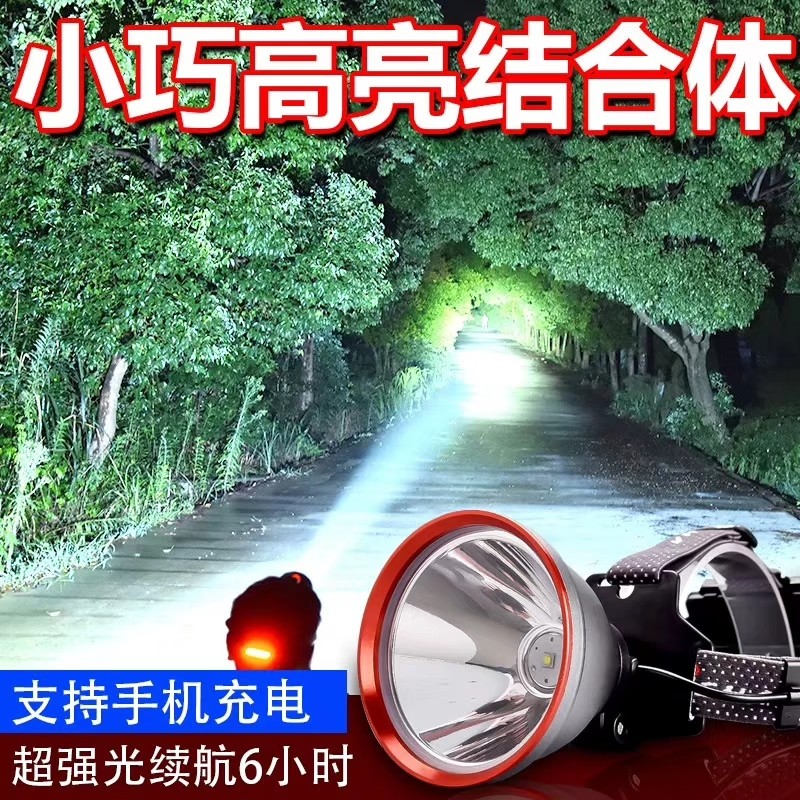 T40灯芯头灯细节图