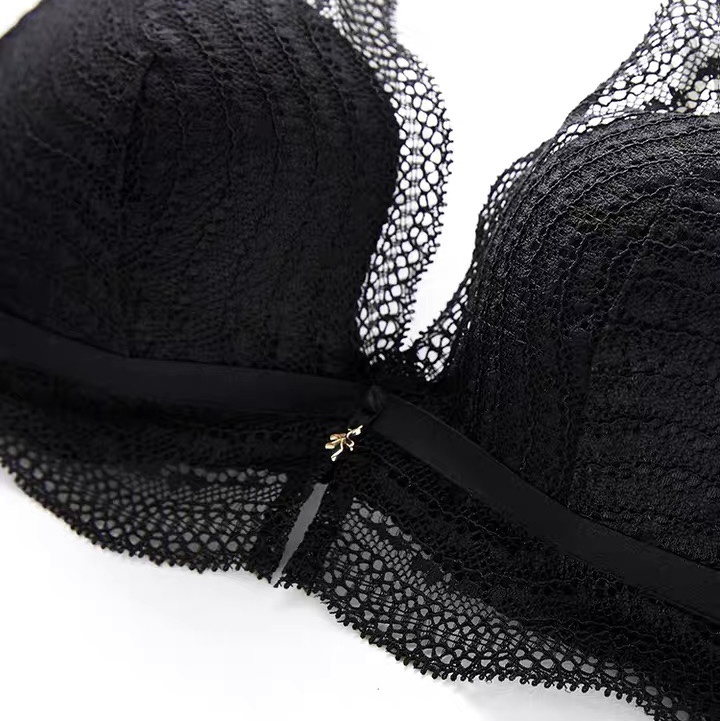 No Underwire Bra Small Push-Up Bra Sexy Lace Lingerie For Women details Picture