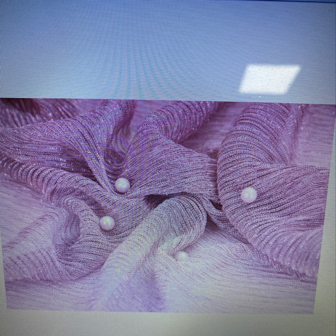 Muslim Scarf details Picture
