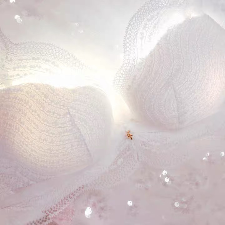 No Underwire Bra Small Push-Up Bra Sexy Lace Lingerie For Women Specification drawing