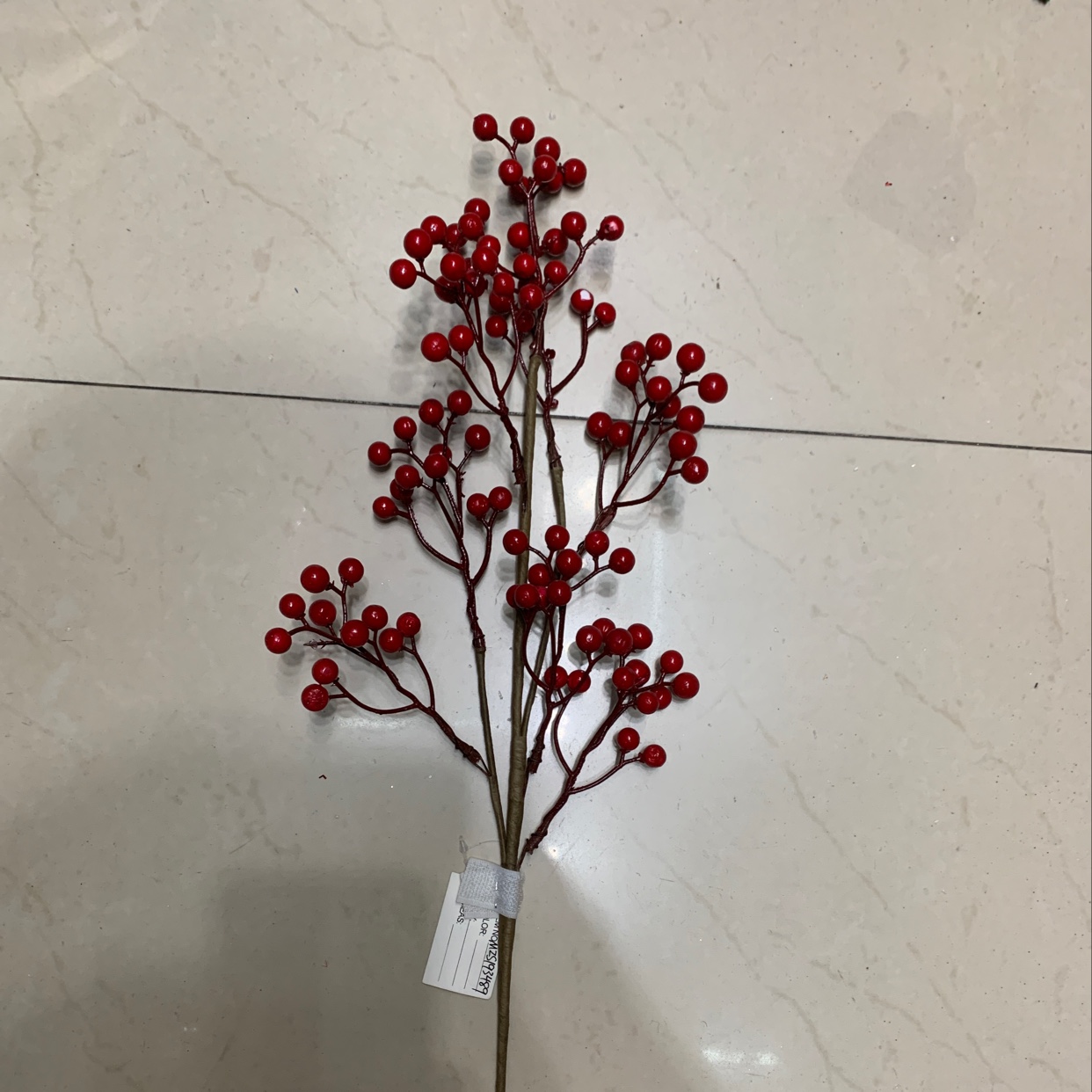 圣诞红果枝