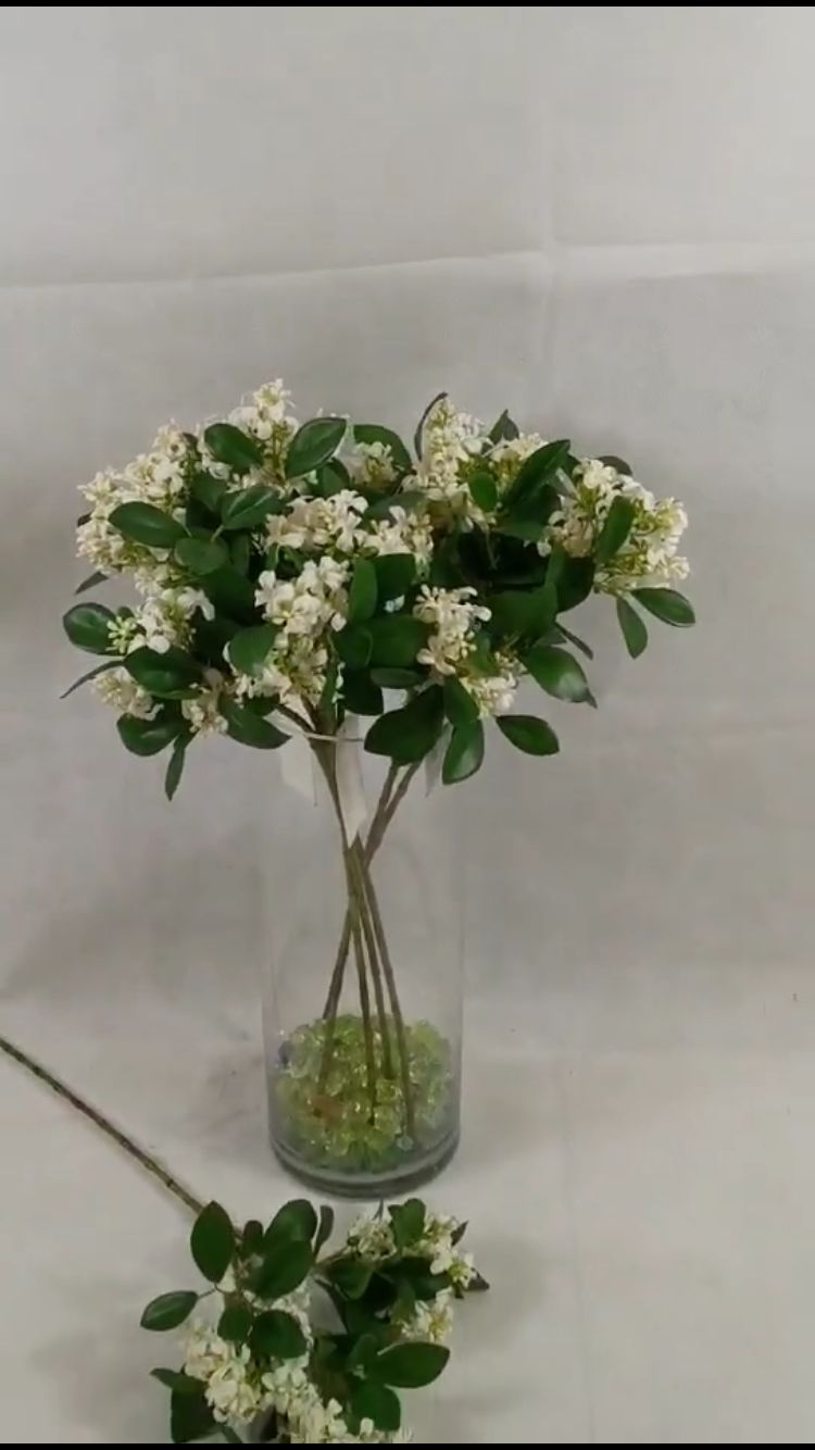 The long-stemmed fragrance of ten thousand miles