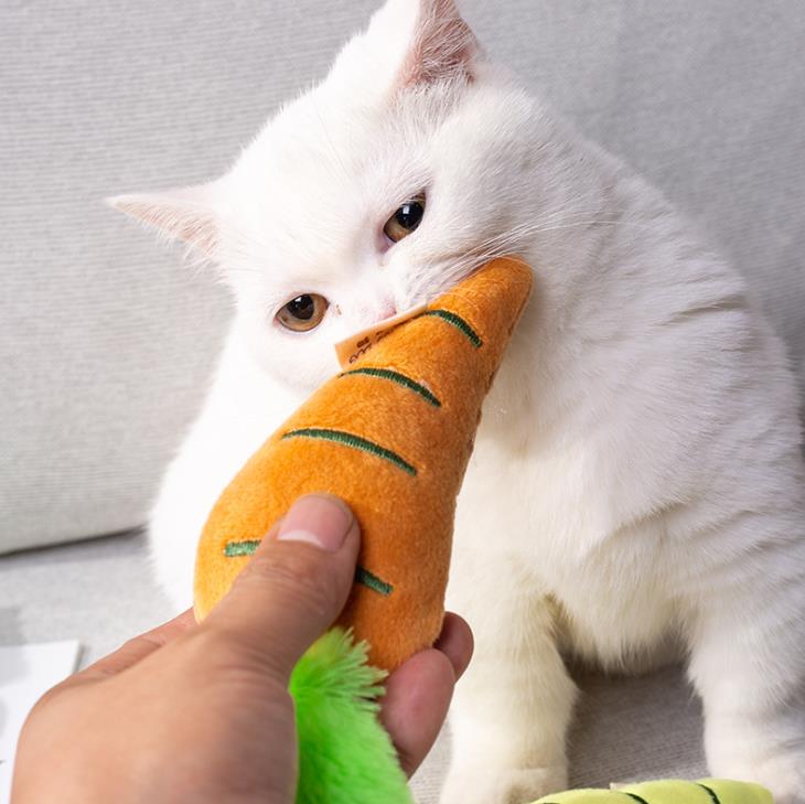 Factory direct sales explosive vegetable series pet toy plush sound color carrot cat toy Specification drawing