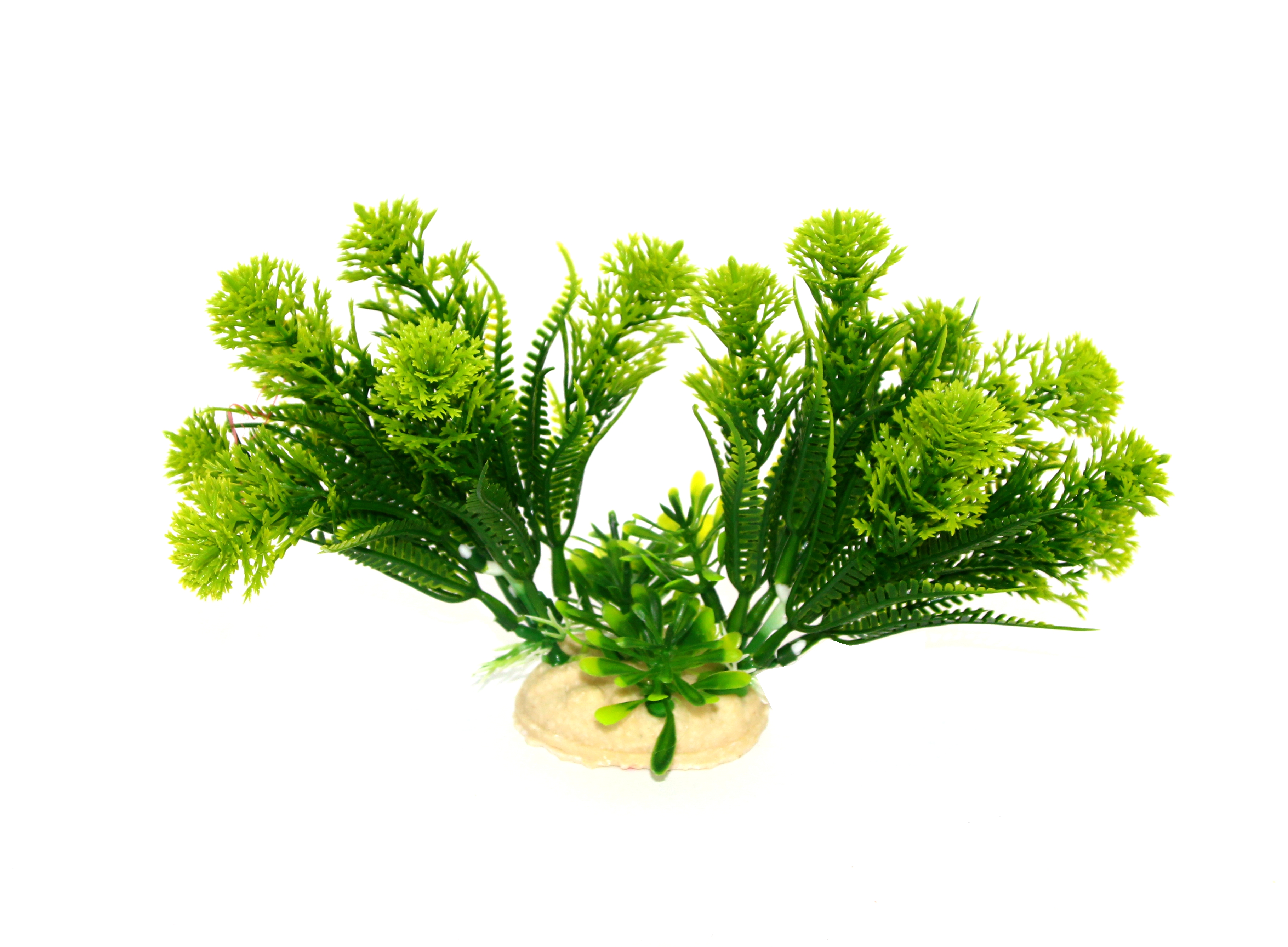 水族箱装饰水草详情图1
