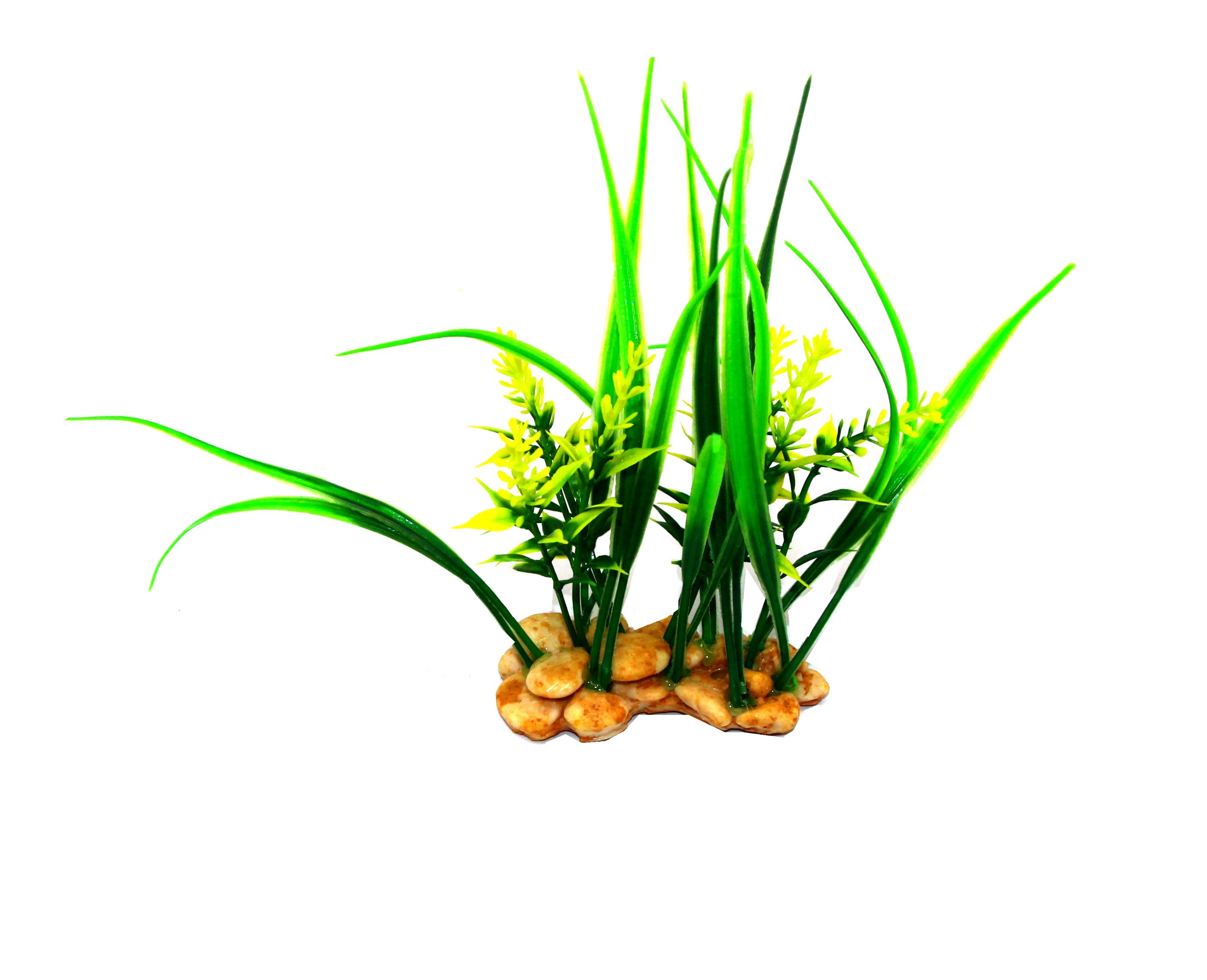 New aquarium decoration aquatic plants