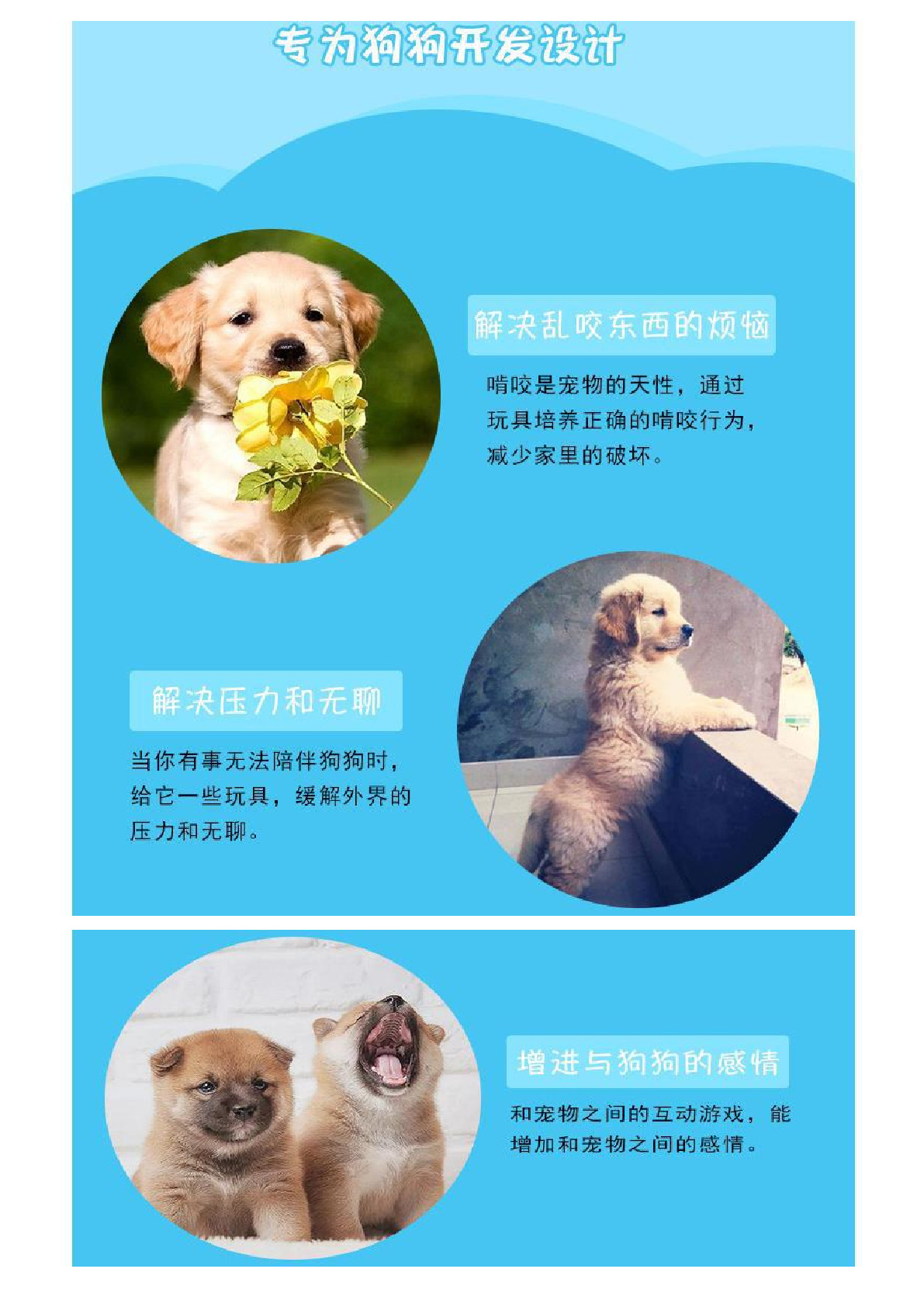 Feng Pei Genius dog cute puzzle pet plush toy cartoon animal plush bite resistant sound dog toy Application Scenario