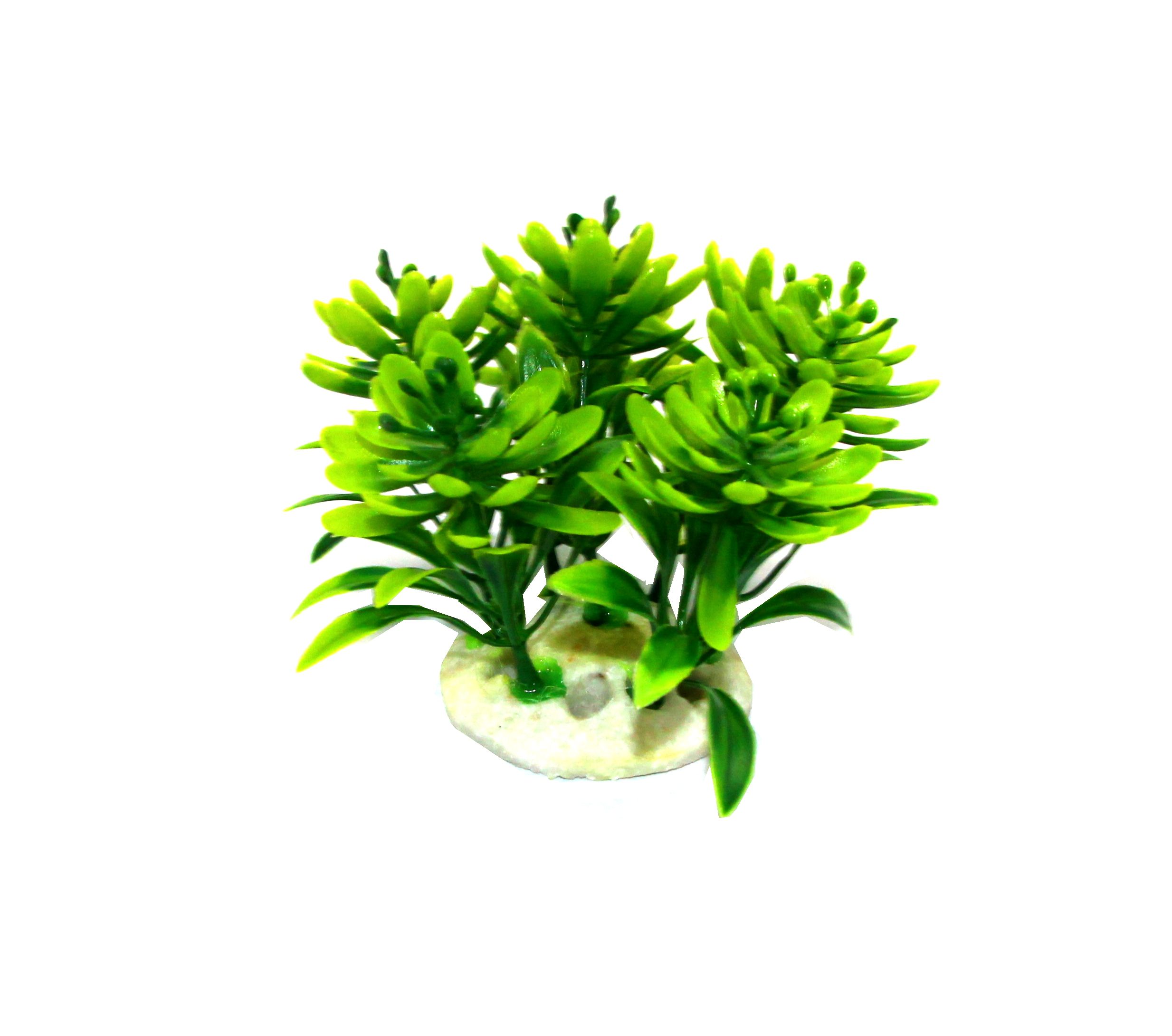 Fish tank decoration aquatic plants