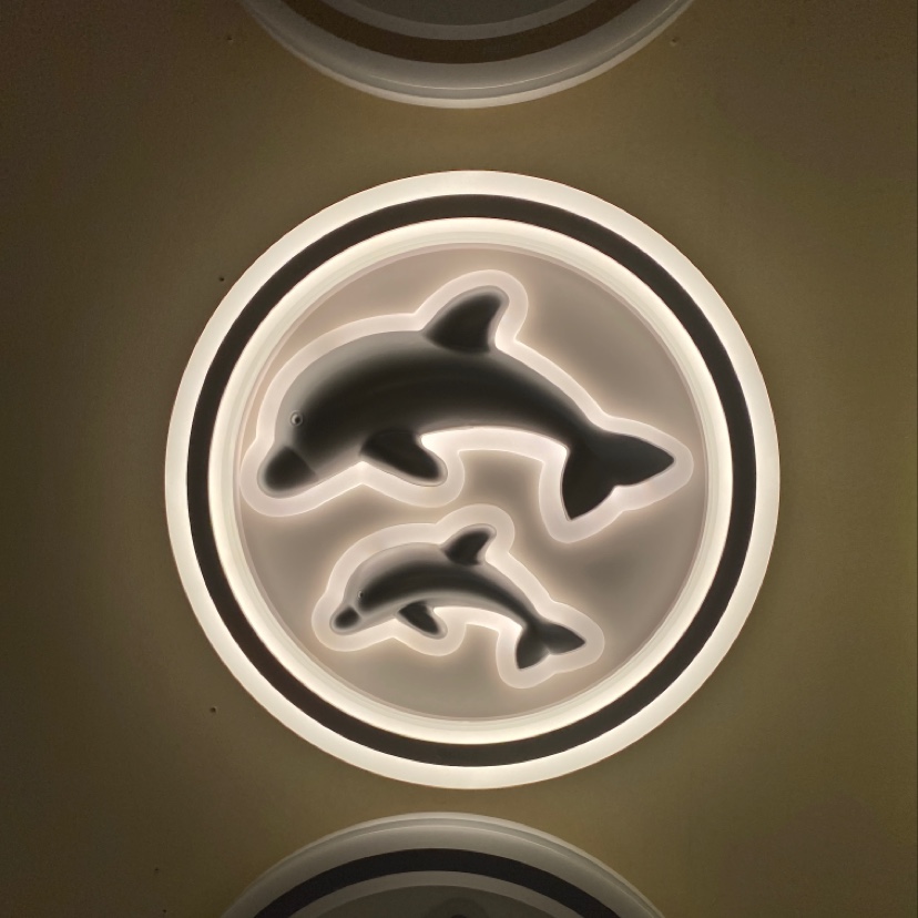 吸顶灯/网红灯/吸顶灯卧室灯/led顶灯/玫瑰台灯产品图