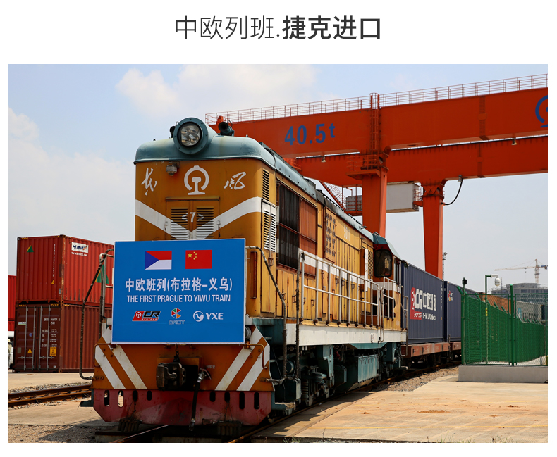 Czech imported crystal glass whisky glass, home engraved and gilded European classical glass with gilded rim pic 8