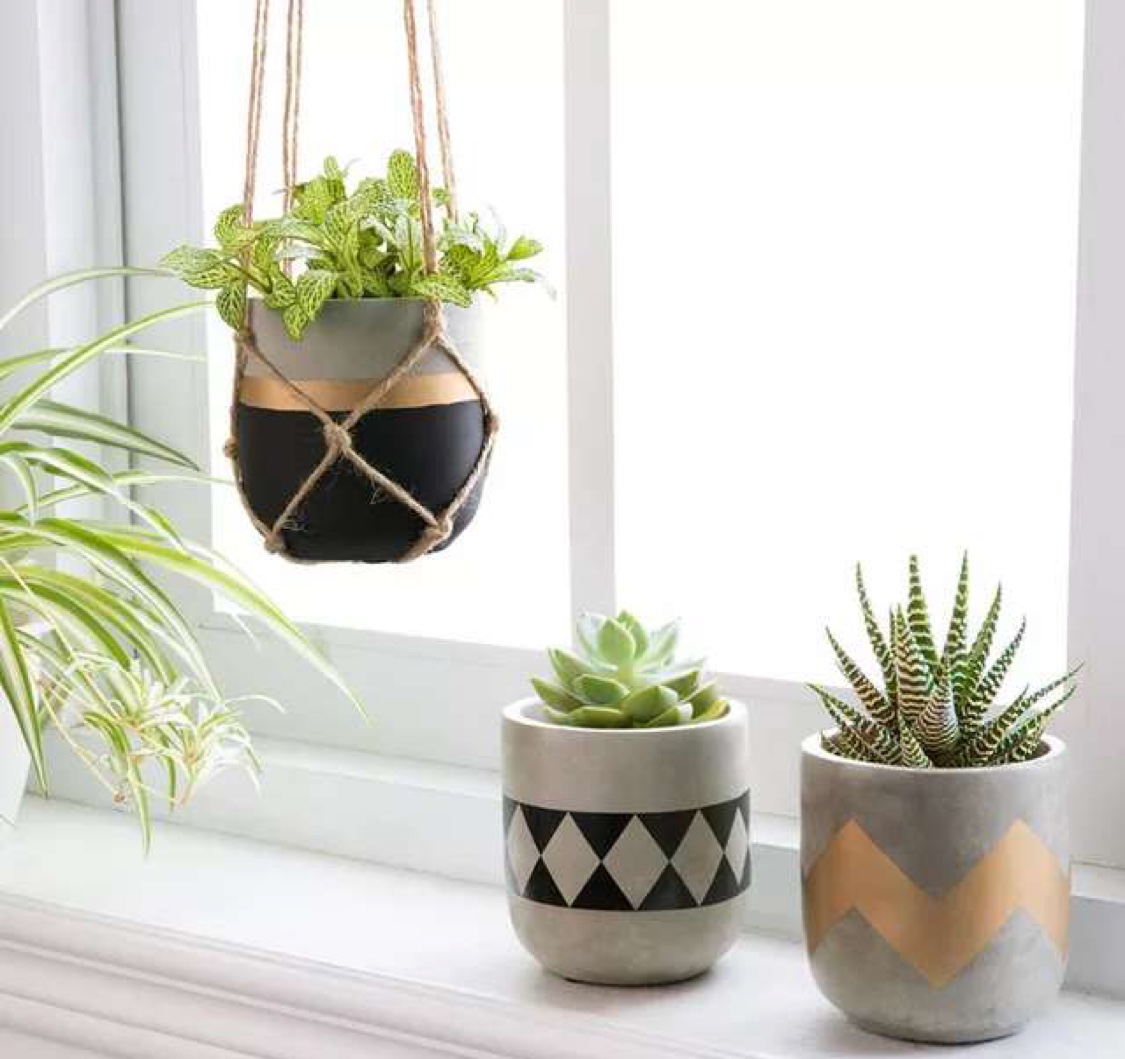 Plant private Nordic ins white triangular geometric pattern floral paper cement pot thumbnail