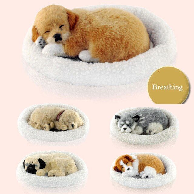 Simulated cats and dogs details Picture