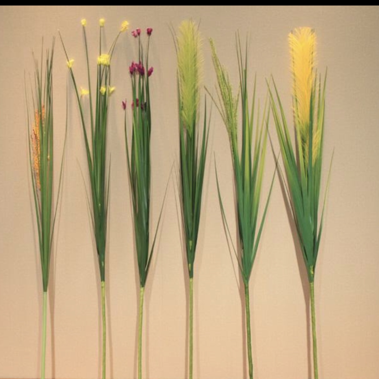 The dried flower bouquet of thumbnail