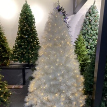 Christmas tree lights