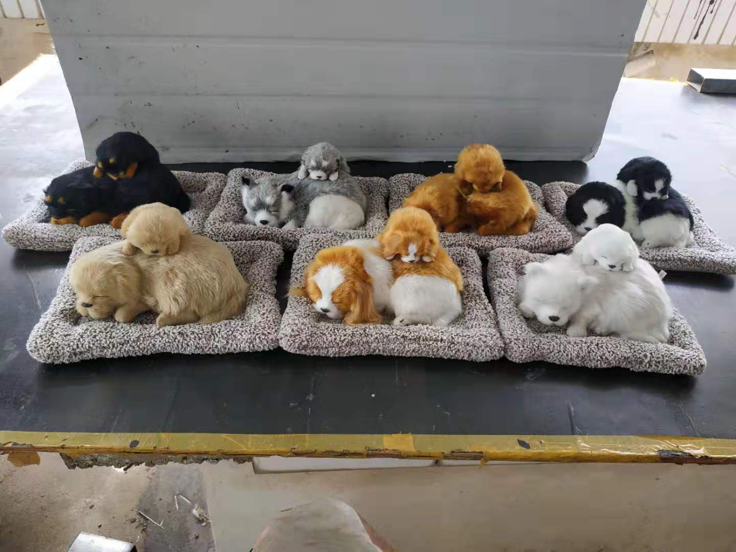 Simulated cats and dogs Application Scenario
