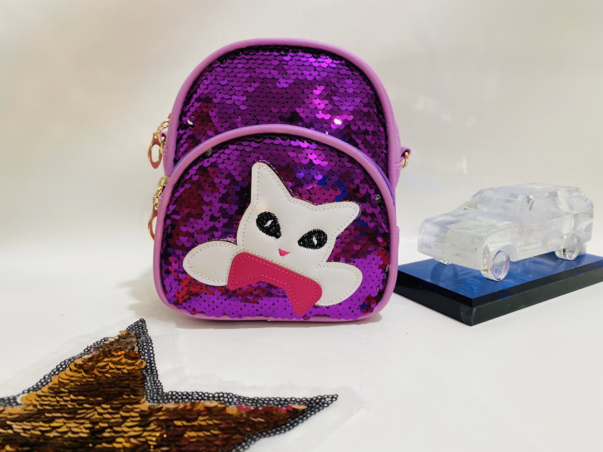Sequin Bag