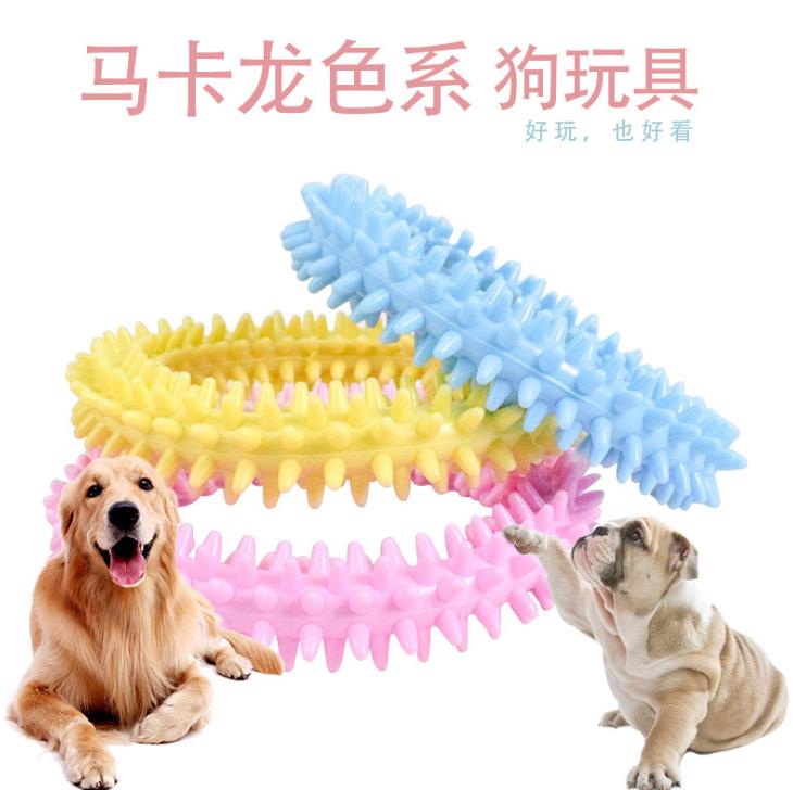 Manufacturers direct sales pet toys TPR molar ring toy Macaron TPR ring dog toy full figure