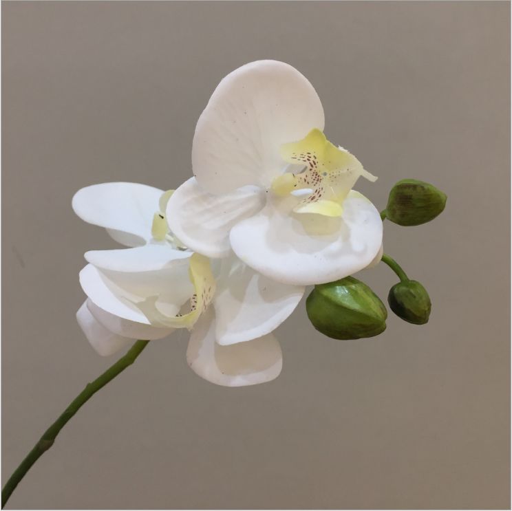 Hand feeling simulation phalaenopsis suit decoration Chinese table furniture sitting room furnishing artifical flower wholesale