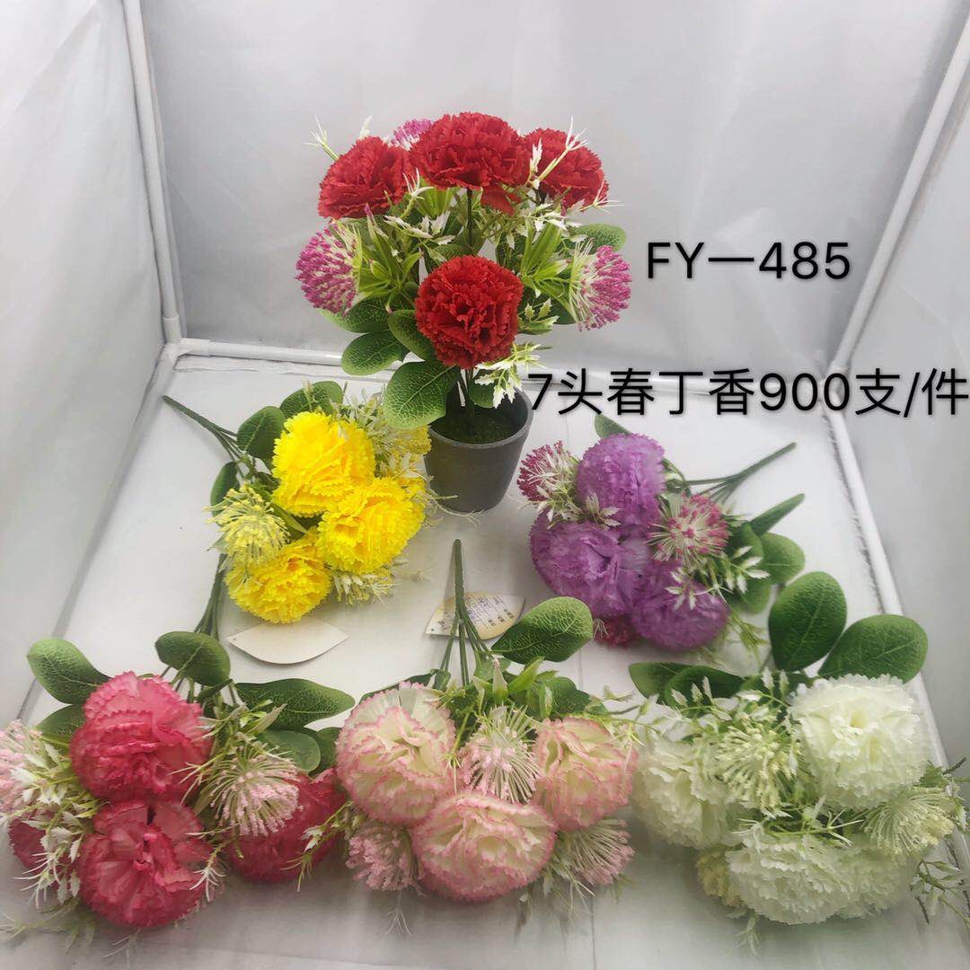 carnations thumbnail