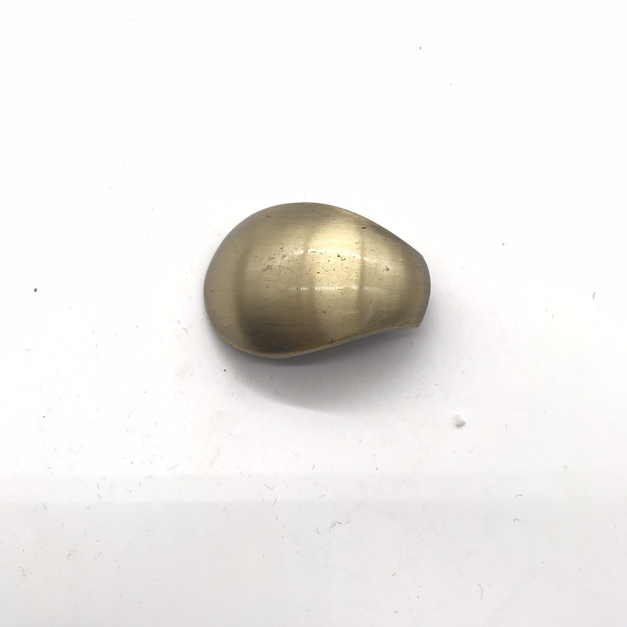 内迫壁虎产品图