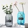 家居装饰玻璃花瓶欧式彩色透明百合富贵竹水培花瓶客厅插花摆件产品图