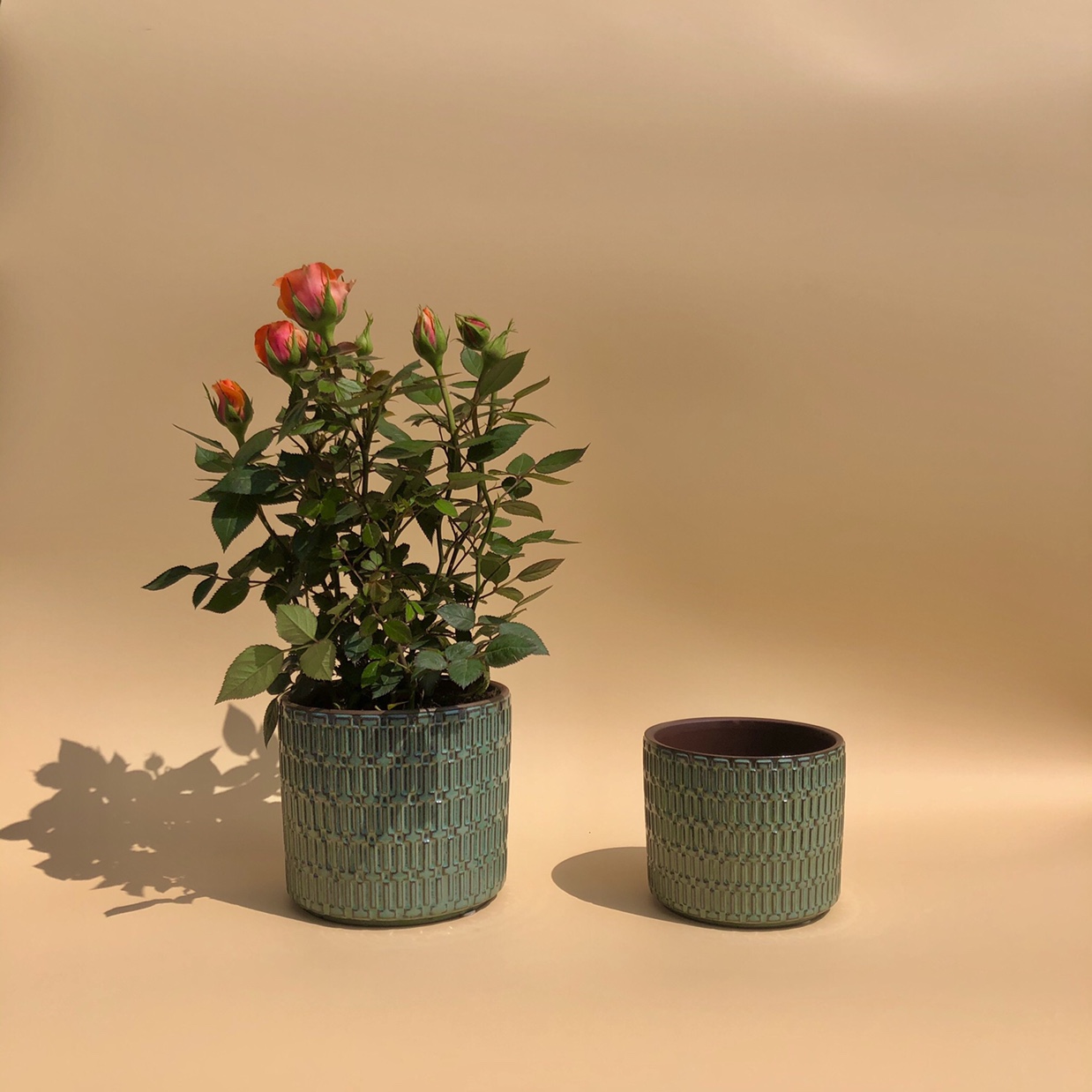 Ceramic Rose Planting Pots, Garden Pots, Colored Glazed Pots details Picture