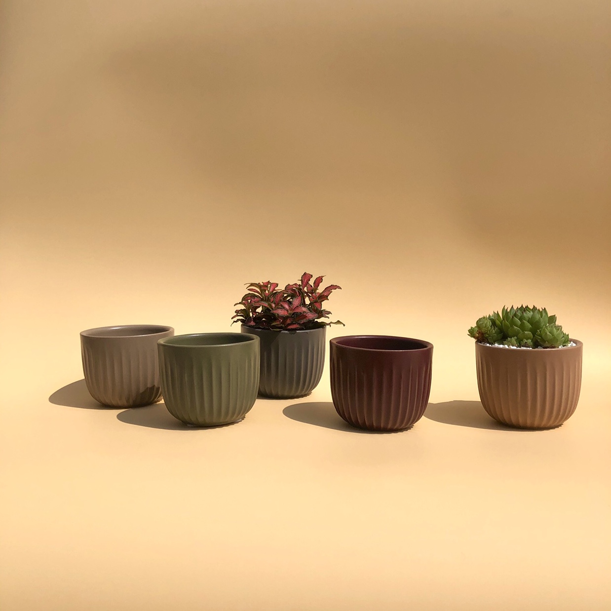 Succulent color flowerpot, mini flowerpot thumbnail