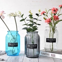 家居装饰玻璃花瓶欧式彩色透明百合富贵竹水培花瓶客厅插花摆件