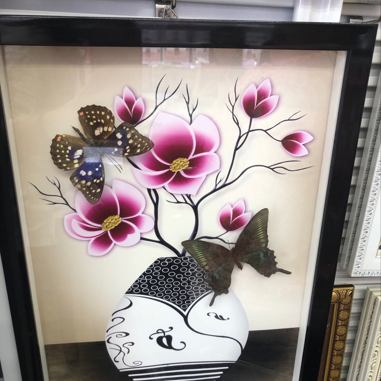 蝴蝶标本相框