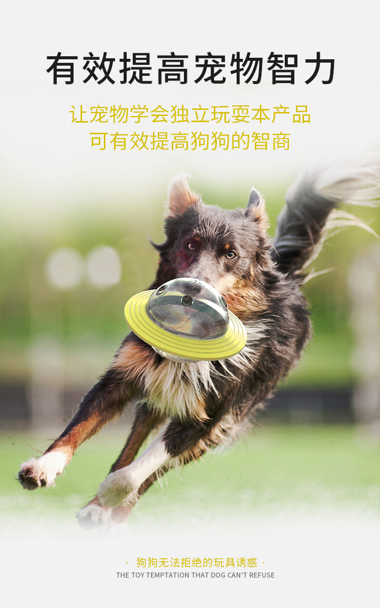 狗狗漏食器汪星球造型狗狗漏食玩具详情7