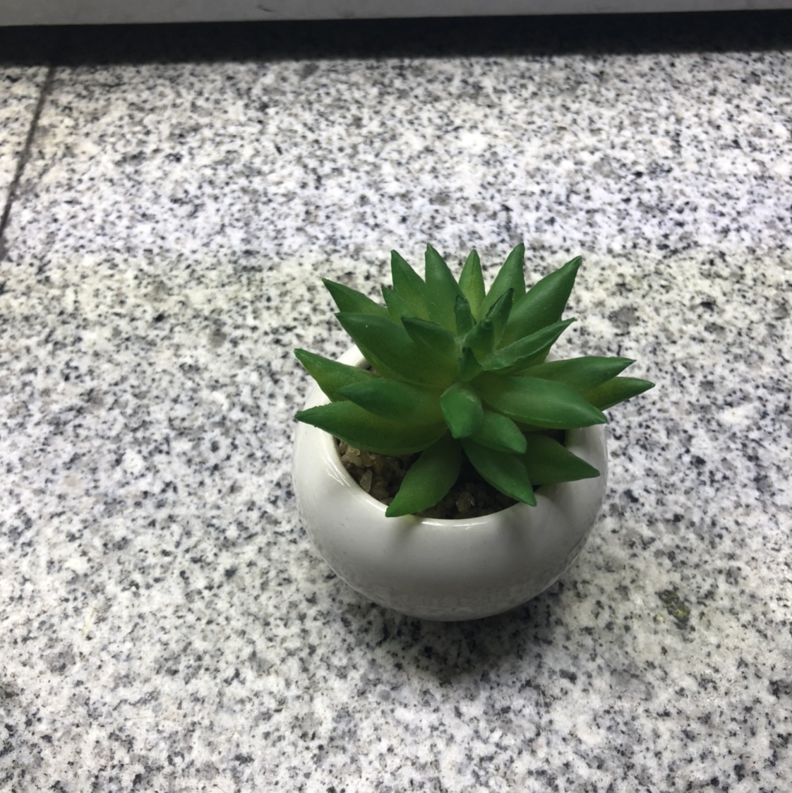 Nordic simulation cactus succulent artificial flower green plant decoration furniture living room creative decoration office small potted thumbnail