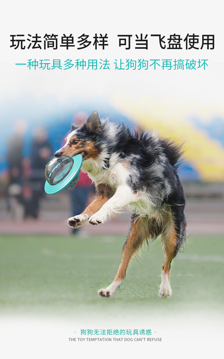 狗狗漏食器汪星球造型狗狗漏食玩具详情6