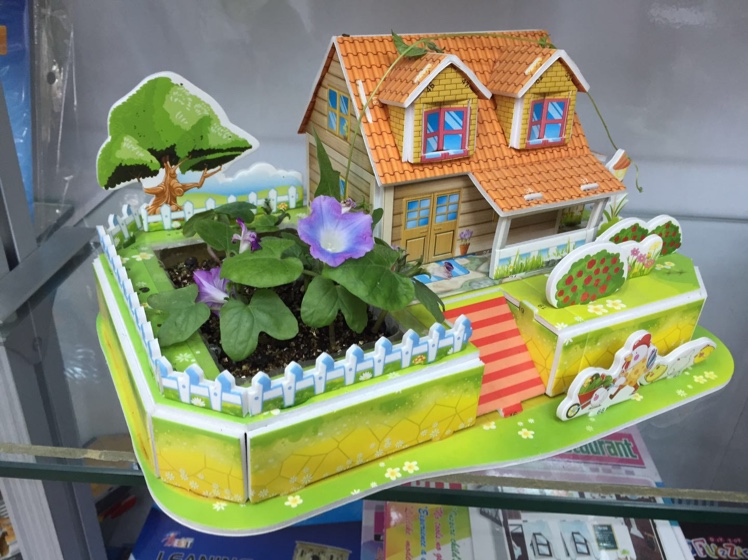 义乌好货 热销创意儿童DIY手工制作建筑小房子益智3D立体拼图种植模型礼品-1001/1997细节图