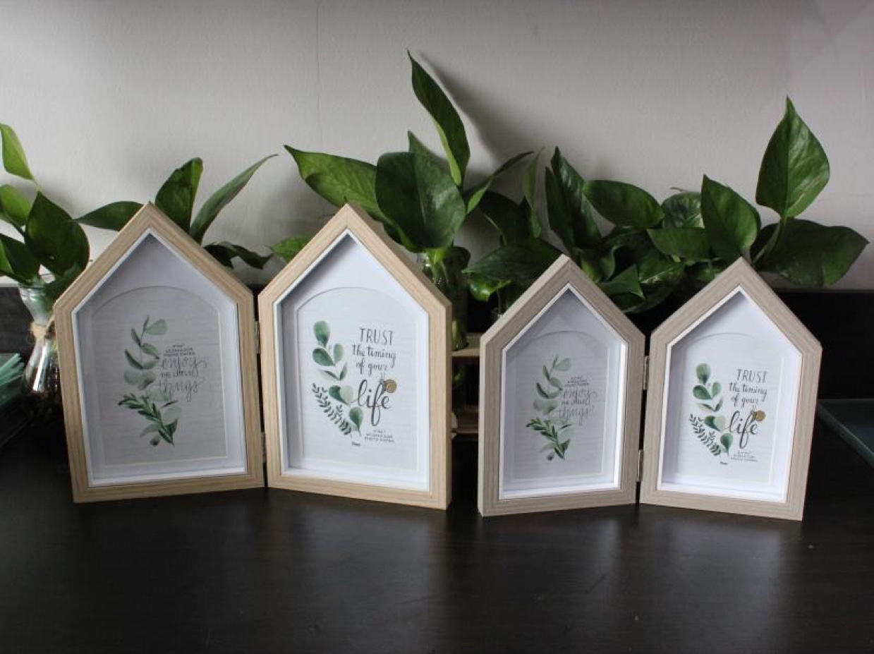 相框（绿植）相框摆台木质相框DIY相框画框相框水晶框迷你小相框铝合金画框相框框架条相框画框图