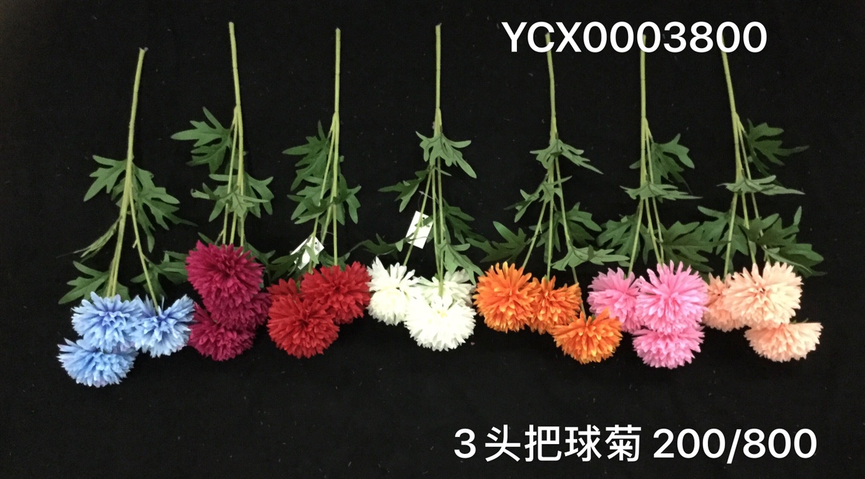 3 header chrysanthemum thumbnail